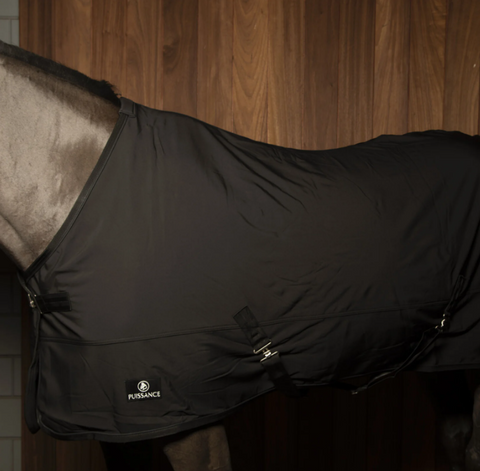 Puissance Softshell Rug